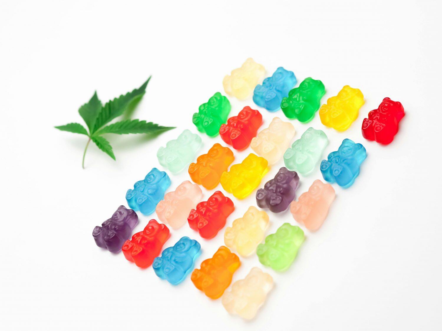 Protein Gummy Bear